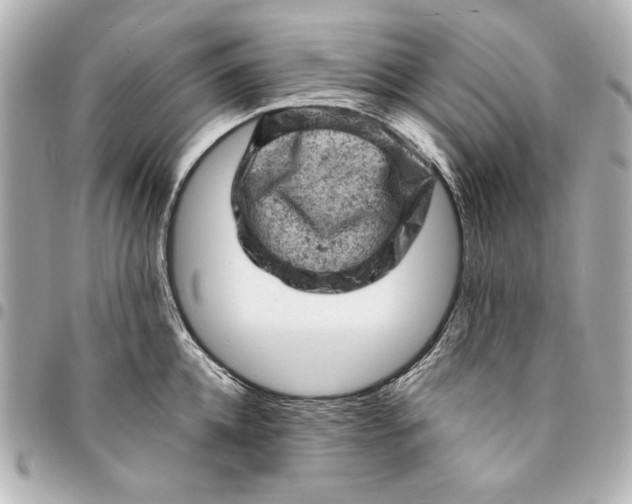 X0000095510952200712281435