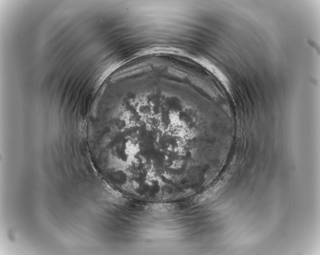 X0000095510953200712281435