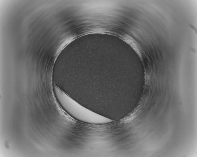 X0000095510954200712281435