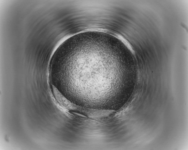 X0000095510955200712281435