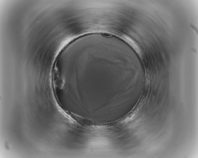X0000095510958200712281435