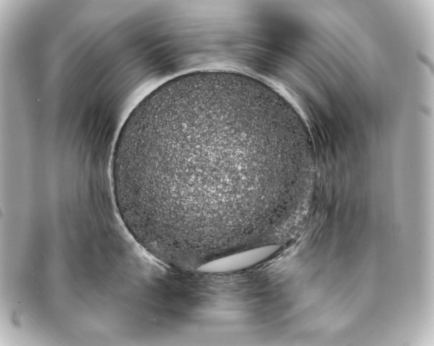 X0000095510959200712281435