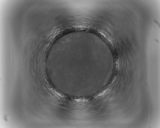 X0000095510961200712281434