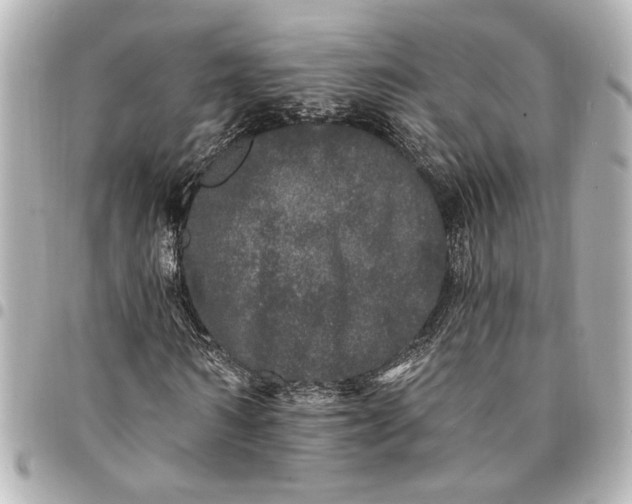 X0000095510962200712281434