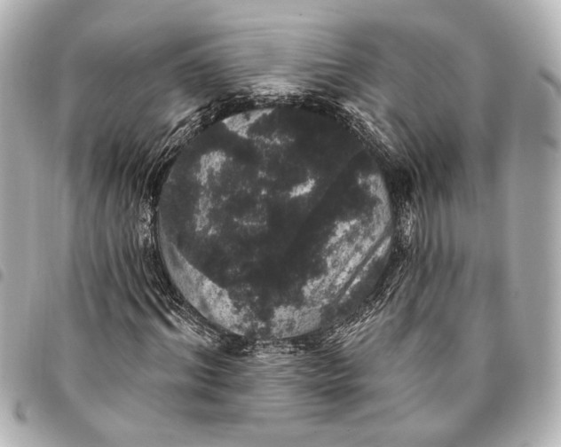 X0000095510964200712281434