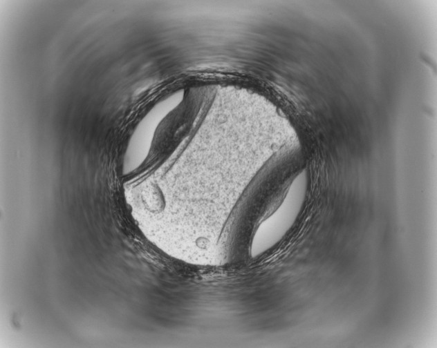 X0000095510965200712281434