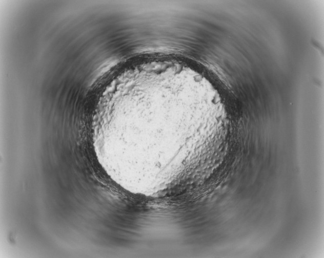 X0000095510967200712281434