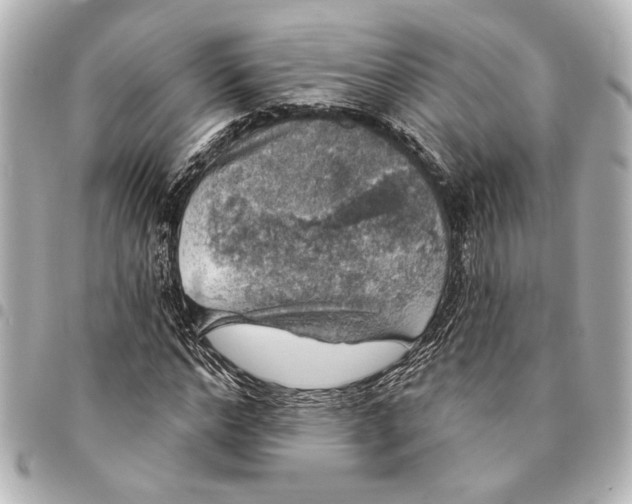 X0000095510968200712281434