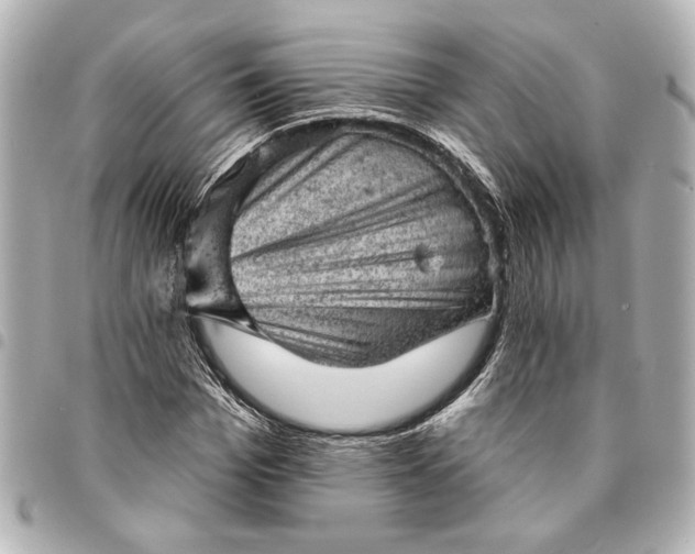 X0000095510969200712281434