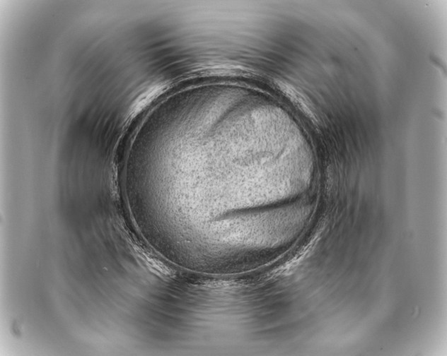 X0000095510970200712281434