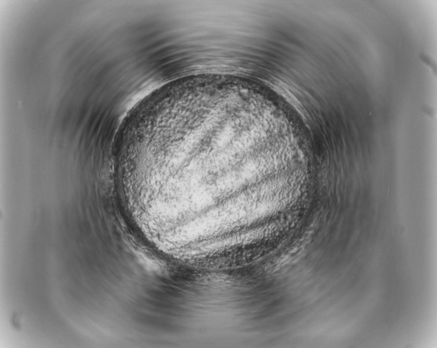 X0000095510971200712281434