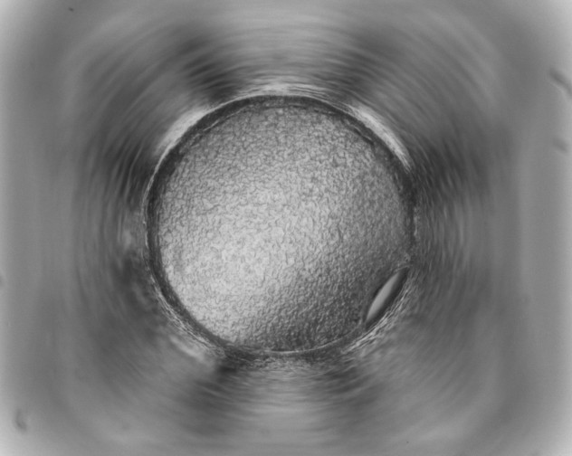 X0000095510972200712281434