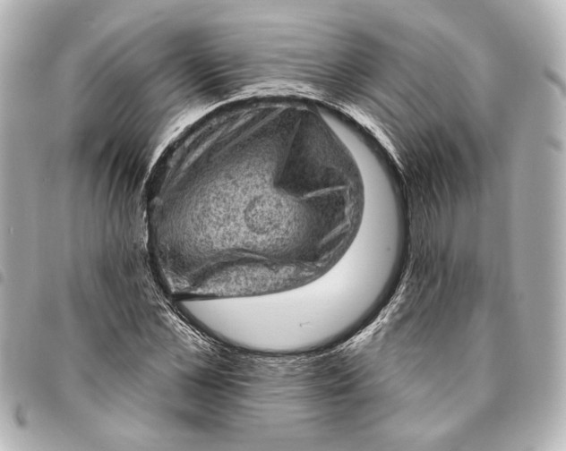 X0000095510973200712281434