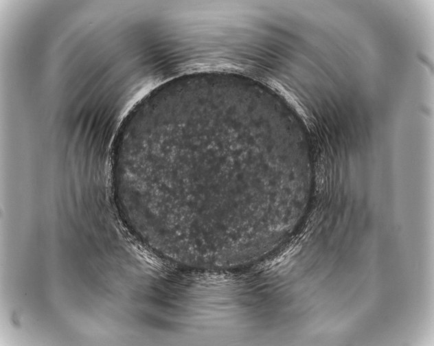 X0000095510975200712281434