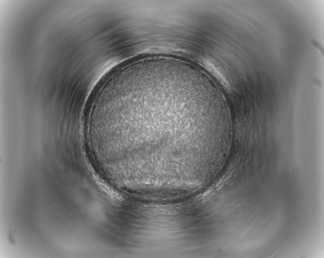 X0000095510976200712281434