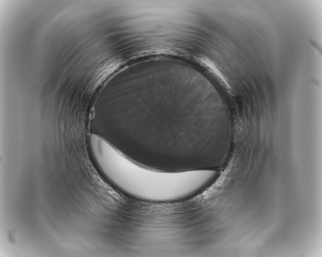X0000095510977200712281434