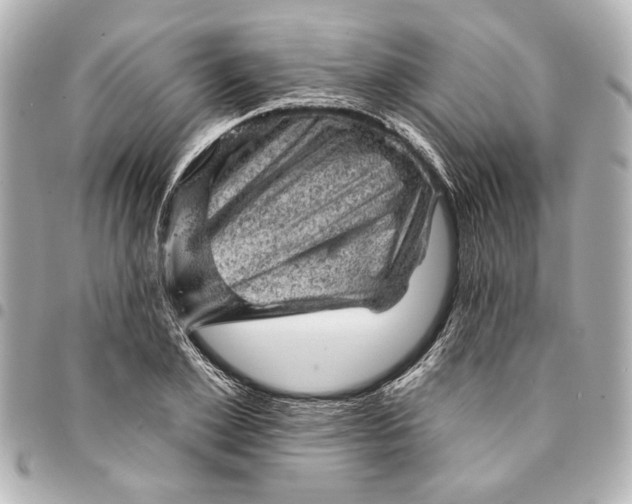 X0000095510981200712281434