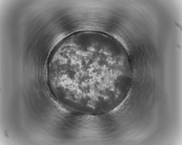 X0000095510982200712281434