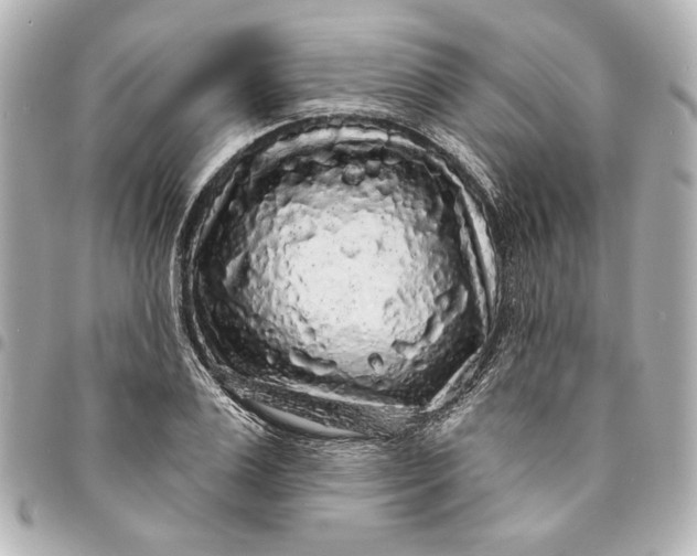 X0000095510983200712281434