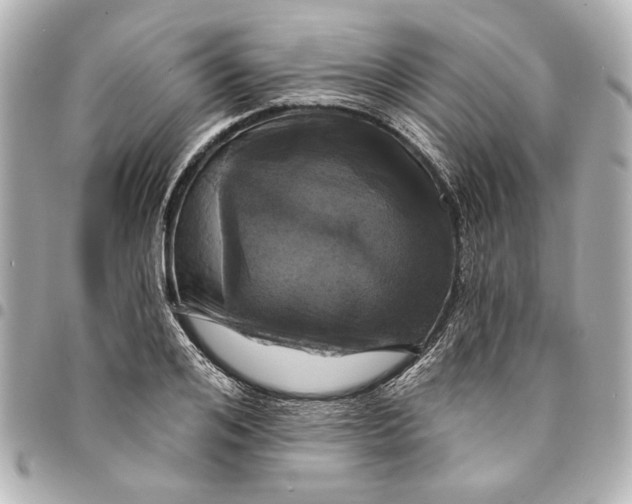 X0000095510984200712281434