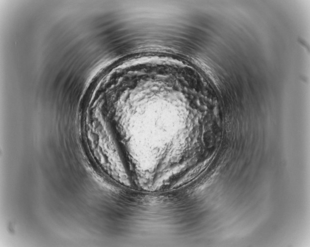 X0000095510987200712281434