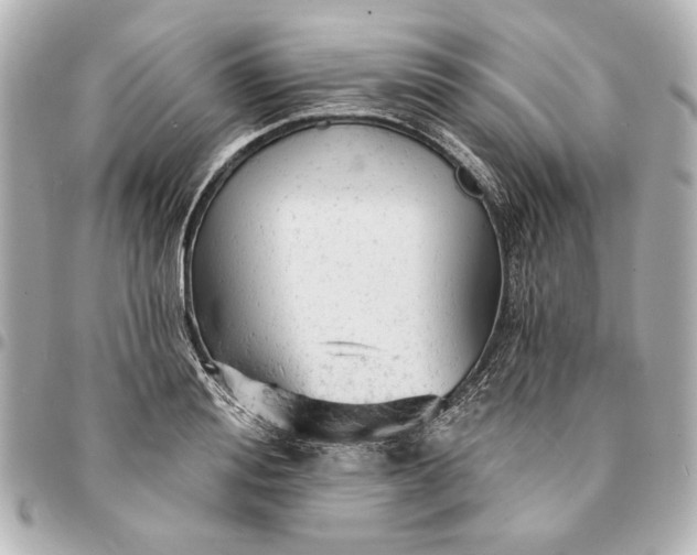 X0000095510988200712281434