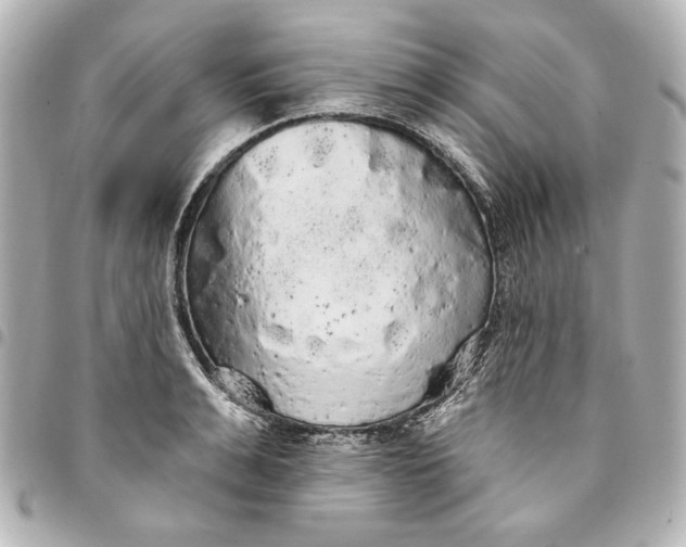 X0000095510991200712281434