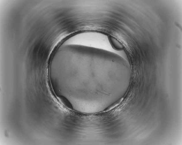 X0000095510992200712281434