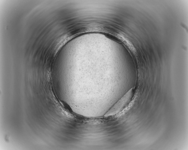 X0000095510993200712281434