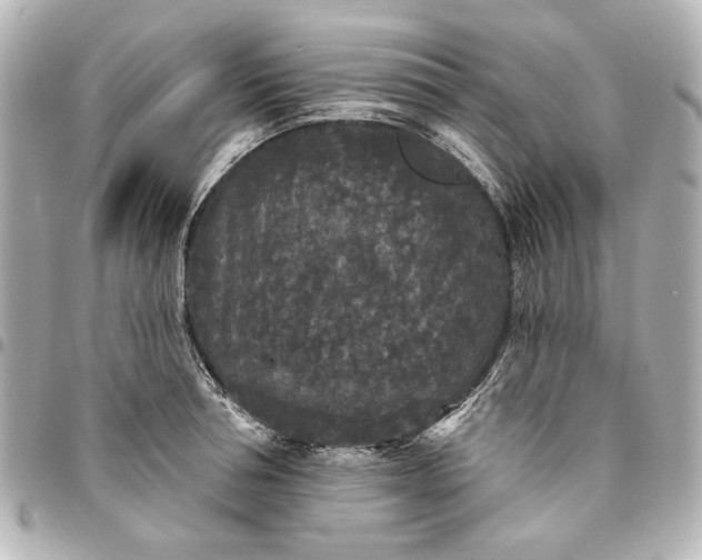X0000095510994200712281434