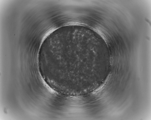 X0000095510995200712281434