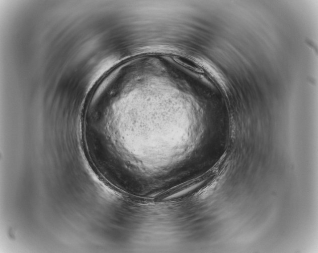 X0000095510999200712281434