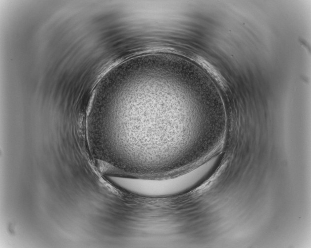 X0000095511001200712281434