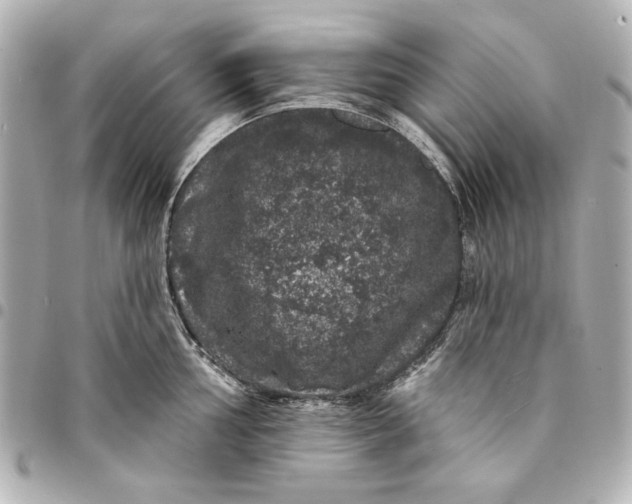 X0000095511002200712281434