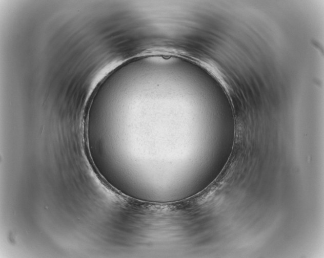 X0000095511003200712281434
