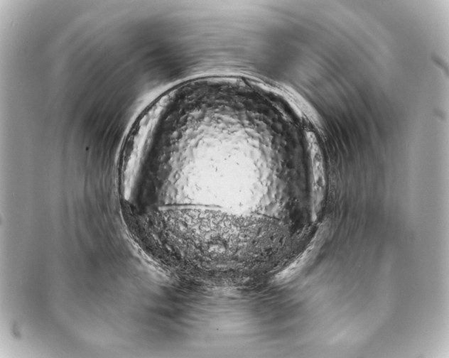 X0000095511004200712281434