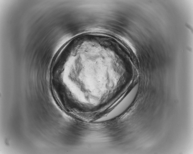 X0000095511007200712281434