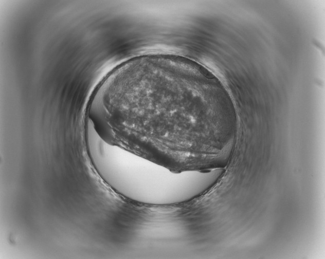 X0000095511008200712281433