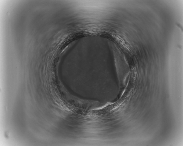 X0000095511009200712281433