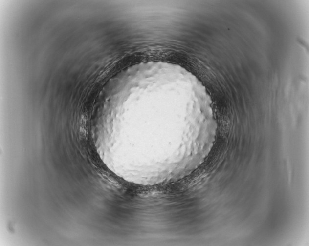 X0000095511010200712281433