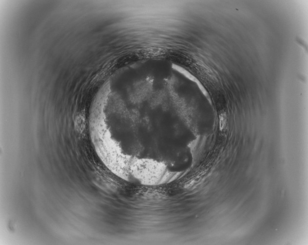 X0000095511011200712281433