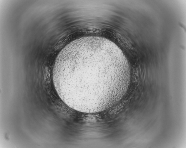 X0000095511013200712281433