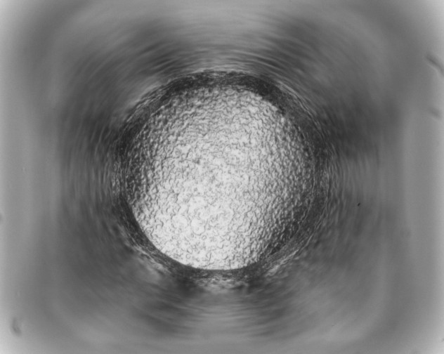 X0000095511014200712281433