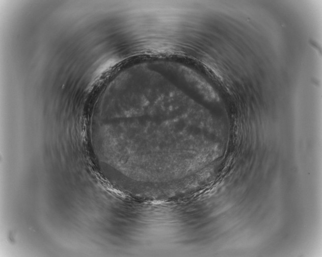 X0000095511016200712281433