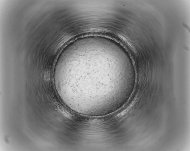 X0000095511017200712281433