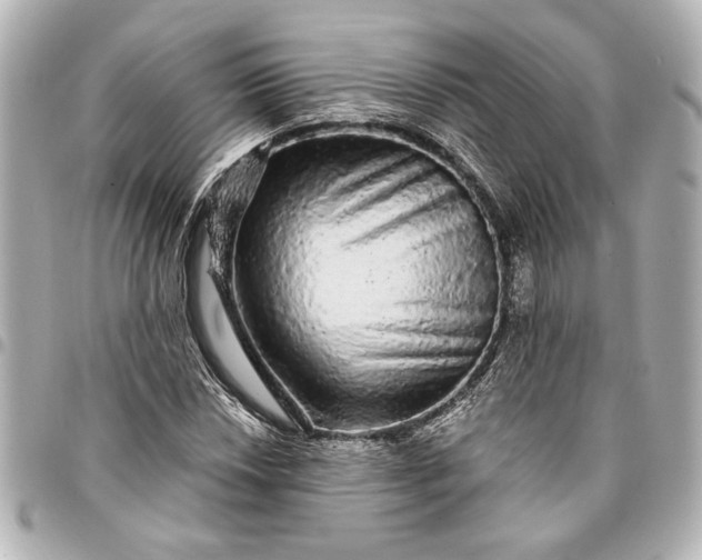 X0000095511018200712281433