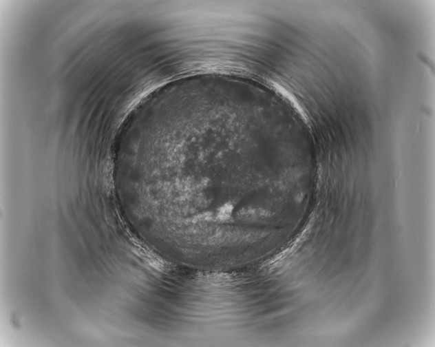 X0000095511019200712281433