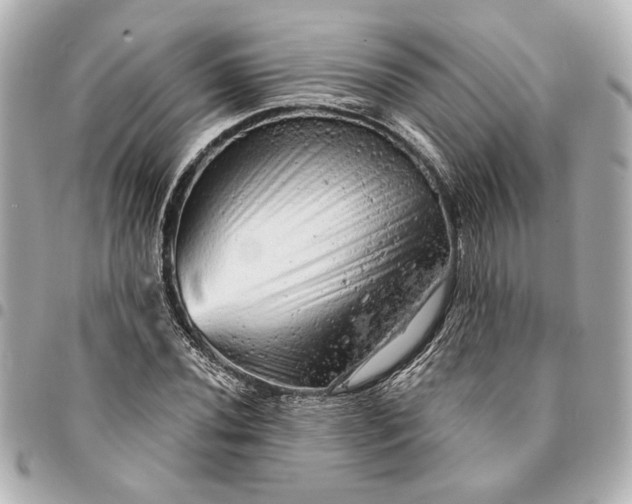 X0000095511020200712281433