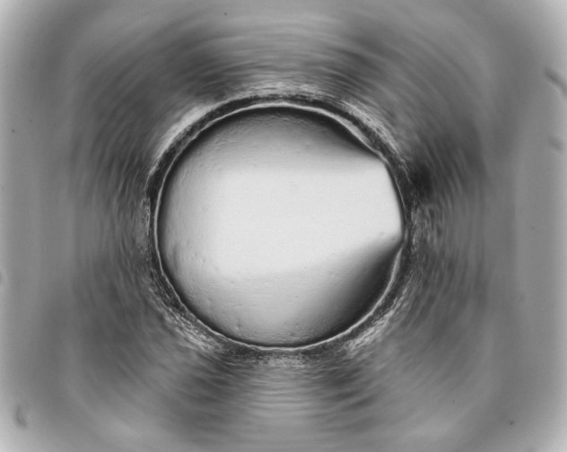 X0000095511021200712281433