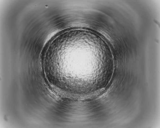 X0000095511022200712281433
